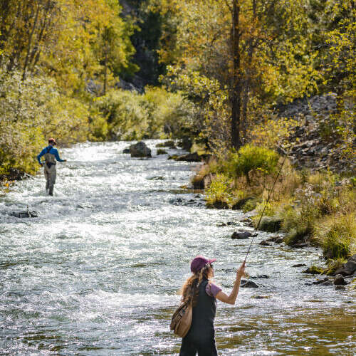 Flyfishing in Spearfish Canyon in the fall 