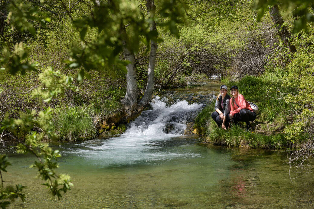 Roughlock Falls in Spearfish Canyon