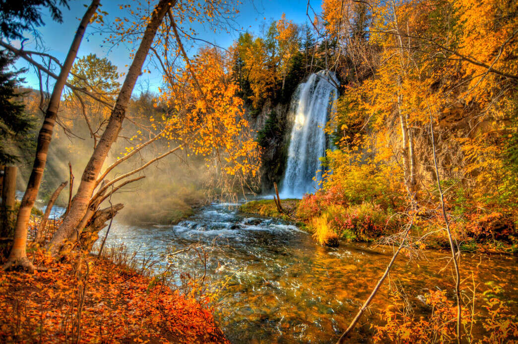Roughlock Falls amidst Golden Yellow Foliage