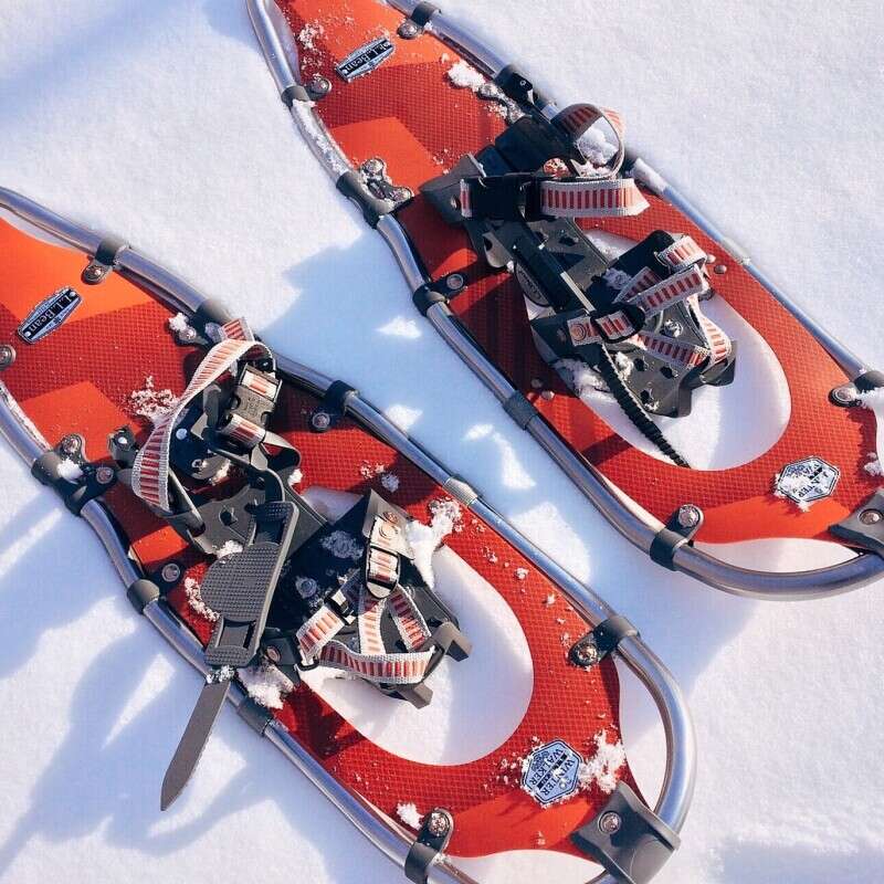 Snowshoes
