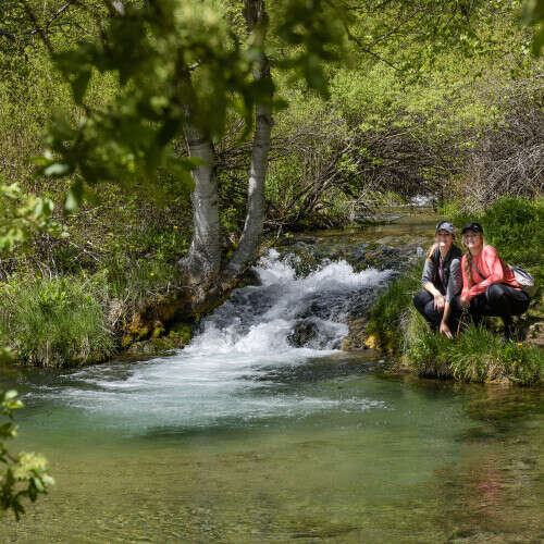 Scene of Roughlock Falls in Summer