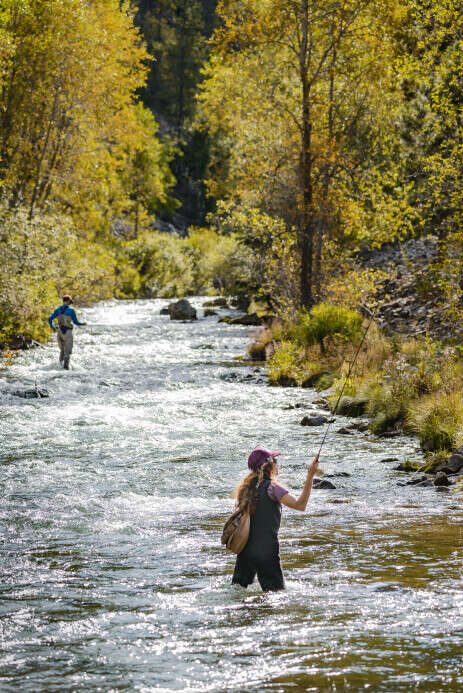 Flyfishing in Spearfish Canyon in the fall 
