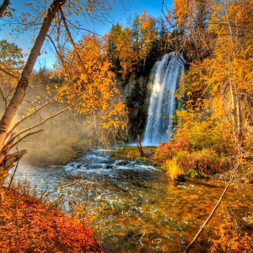 Roughlock Falls amidst Golden Yellow Foliage