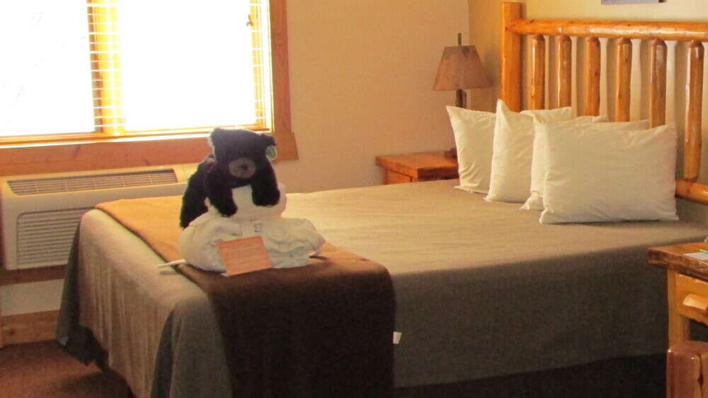 Custer Suite - King Bed & log-accented Love seat